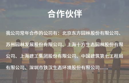 合作伙伴