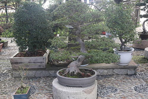 DSCF3198