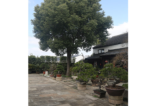 DSCF2982