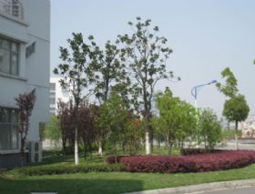 經(jīng)貿(mào)學(xué)院綠化工程