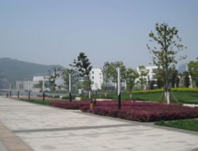 經(jīng)貿(mào)學(xué)院綠化工程