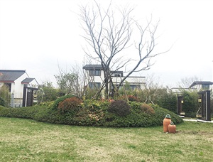 獨(dú)墅御湖