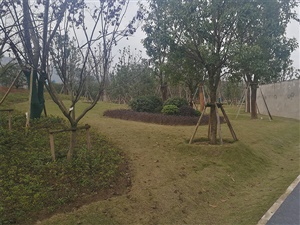重慶雙溪生態(tài)公園