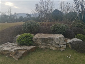 重慶雙溪生態(tài)公園