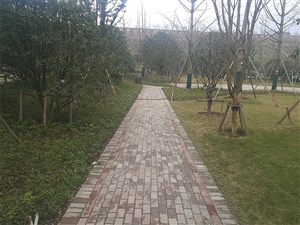 重慶雙溪生態(tài)公園
