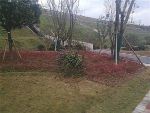 重慶雙溪生態(tài)公園