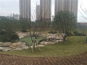 重慶雙溪生態(tài)公園