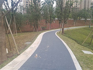 重慶雙溪生態(tài)公園
