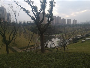 重慶雙溪生態(tài)公園